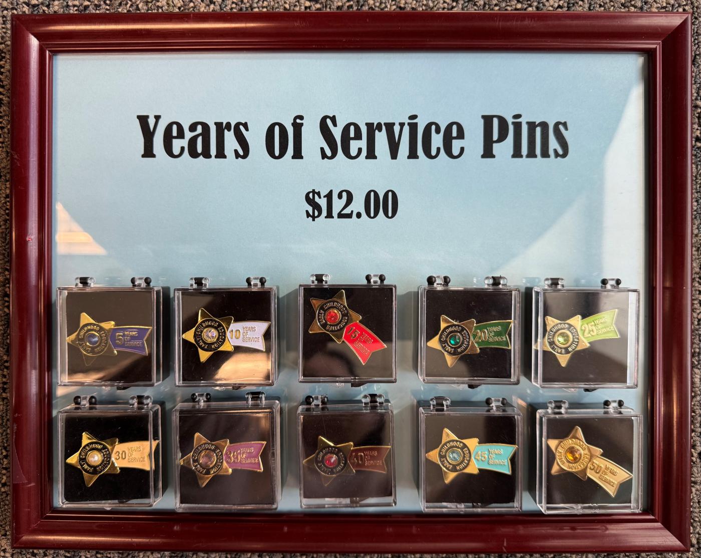 Years of Service Pins